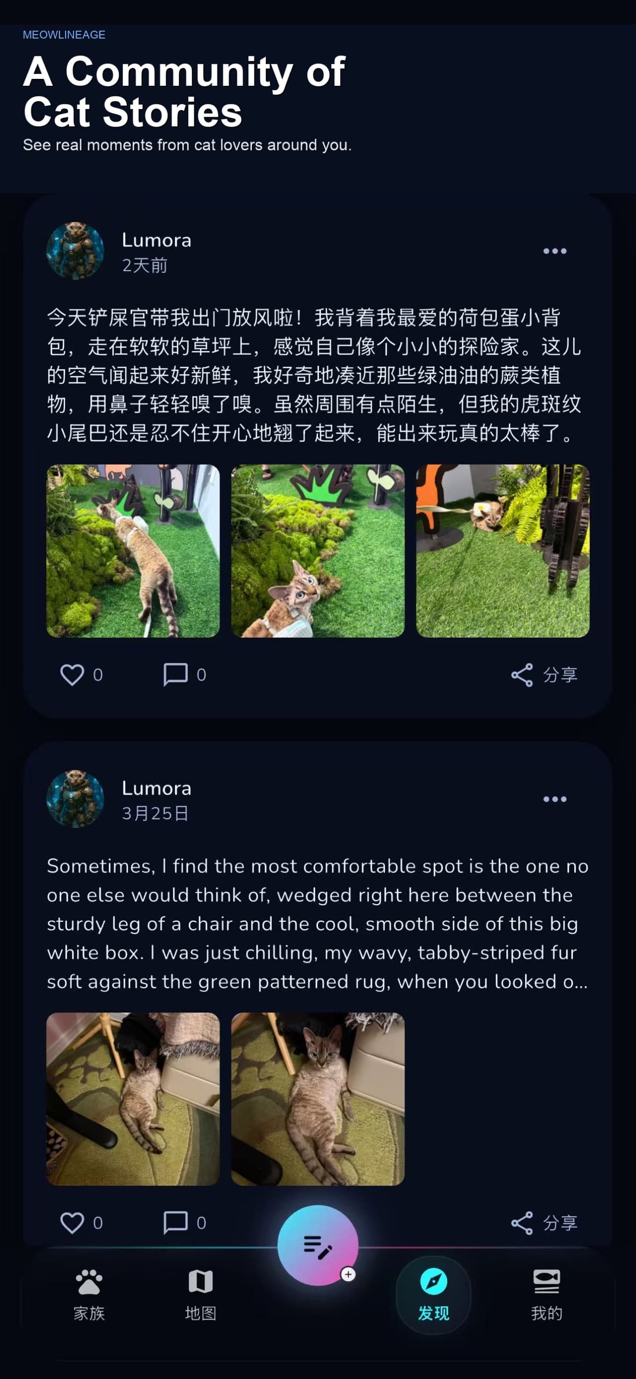 不是所有宠物 App 都在记账,真正让我破防的是“记住它的一生”。